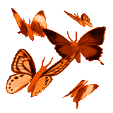 www.diana.hupont.hu