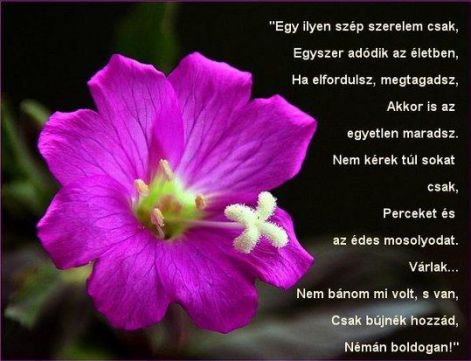 egy_ilyen_szep_szerelem.jpg