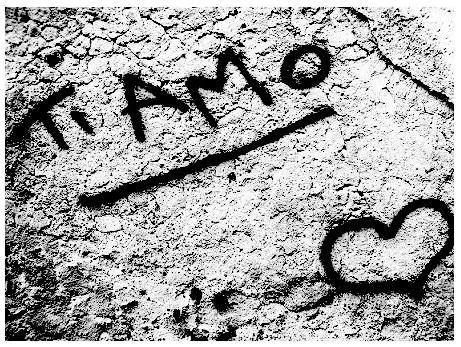 tiamo2.jpg